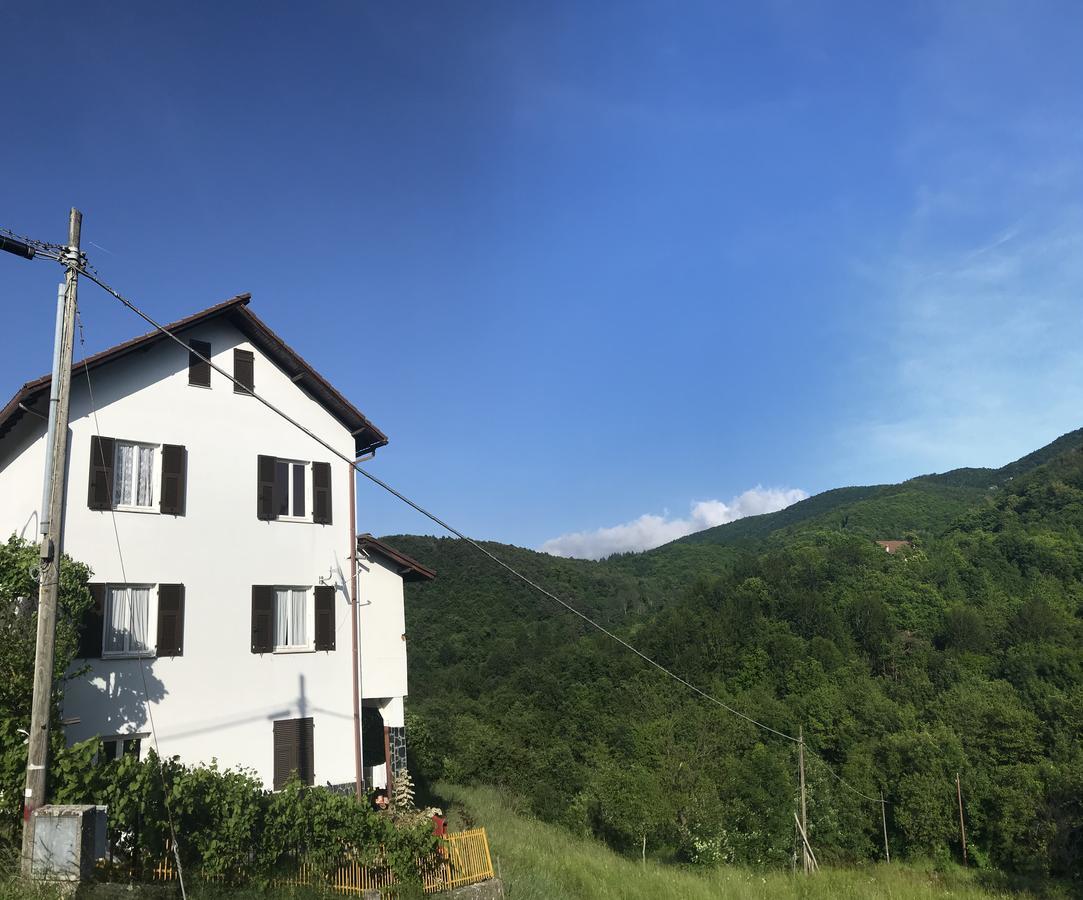 Albergo Delfino San Pietro d'Olba エクステリア 写真